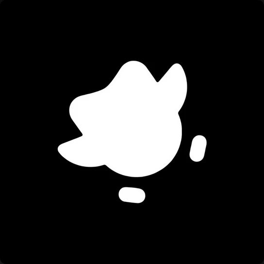 DUO LINGO PRO